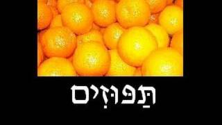 Learn Hebrew with Pictures and Audio  Fruit [upl. by Hamlin]