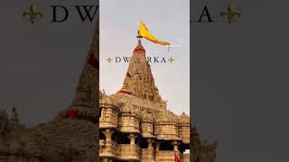 Dhaja 52 Ghaj ni farke Joi Haiyu Maru Harkhe🙏 Jay Dwarkadhish 🙏trending shorts viralvideo [upl. by Aienahs]