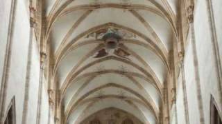 Evangelische Domkirche  Ulm Deutschland  Orgel [upl. by Tengler18]