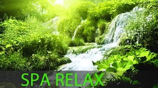 Relaxing Spa Music Meditation Healing Stress Relief Sleep Music Yoga Sleep Zen Spa ☯272 [upl. by Esinad804]