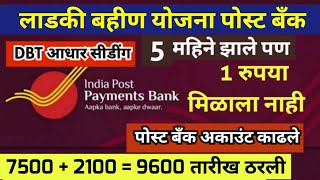 India post payment bank dbt aadhar seeding ippb bank aadhar link किती दिवसात पैसे जमा होईल [upl. by Electra592]