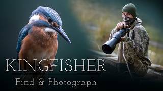 BEST Setup for Kingfisher Photoghraphy  POV Relaxing Wildlife Photography [upl. by Akcir719]