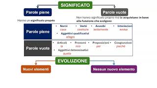 La morfologia il nome il significato [upl. by Ainocal]