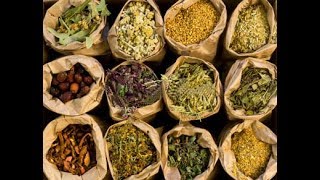 The Secrets Of Herbal Medicine  Best Documentary Of All Time [upl. by Ordisi]