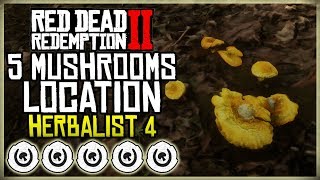 WHERE TO FIND 5 MUSHROOMS EXACT LOCATION  HERBALIST 4  RED DEAD REDEMPTION 2 [upl. by Murvyn]