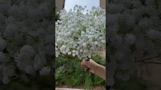 Real touch of artificial flowers babys breath [upl. by Krishnah459]