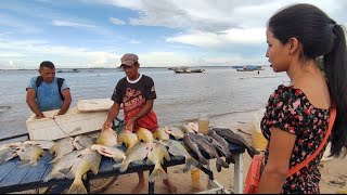 VÍDEO 73VISITANDO MERCADO DE PEIXES PORTO DOS MILAGRES EM SANTARÉMESTADO DO PARÁ [upl. by Grannia306]