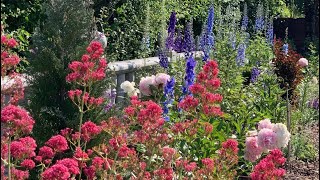 Mixing Beautiful Blue Flowers into Flower Bed with Delphiniums [upl. by Engud345]