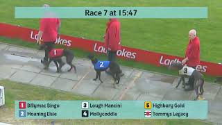 Crayford Greyhounds Races on 15th March 2024 [upl. by Also]