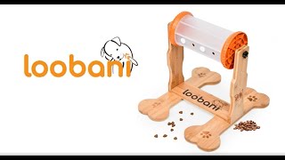 Loobani Dog Puzzle Toy V20 Installation Guide [upl. by Teuton]