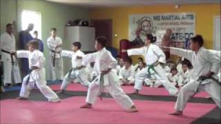 PINAN SANDANPINAN NIDAN JYOSHINMON SHORIN RYU [upl. by Mixam494]