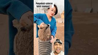 PENYEBAB SALURAN TOILET MAMPET❗️ cute animals funnyanimlas shorts [upl. by Schach]