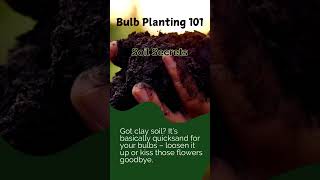 Bulb Planting 101 [upl. by Anaher]