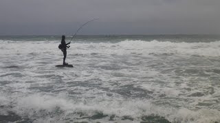 Stripers in the surf Noreaster September 2014 [upl. by Sucirdor291]