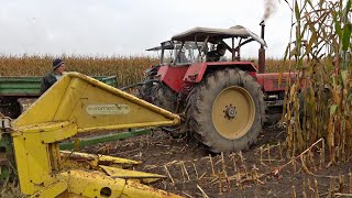 Schlüter John Deere Vintage Corn🌽 Silage Day 2024 Lots of Great Machinery in the field chopping corn [upl. by Trela649]