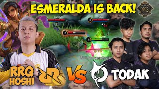 ESMERALDA XINNN IS BACK  RRQ HOSHI VS TODAK PERTANDINGAN TEAM M3 [upl. by Rodolphe]