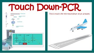 Touch down PCR [upl. by Nahsaj]