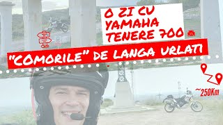 Ce comori am descoperit pe dealurile de lângă Urlați cu Tenere Rally Edition [upl. by Tiena]