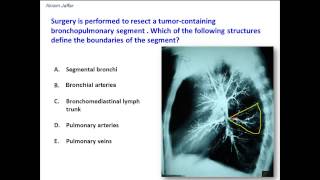 Defining a bronchopulmonary segment [upl. by Harwell856]