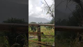 Rain in Kareri village  HP [upl. by Zetrac]