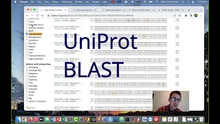 How to Use BLAST for Protein Sequence Analysis UniProt [upl. by Adleme663]