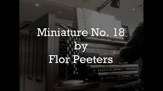 Miniature No 18 by Flor Peeters [upl. by Chan]