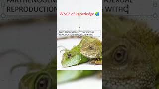 ParthenogenesisWorld of knowledge 🌏com [upl. by Lenny]