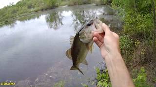 Last cast with WHOPPER PLOPPER 90F River2Sea [upl. by Arlyn949]