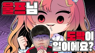 농사왕 울프 알바하다 셜커들고 도박하러 튀어 논란 [upl. by Andri911]