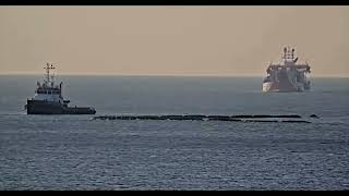 Onderhoud strand Tweede Maasvlakte gestart [upl. by Annehsat]