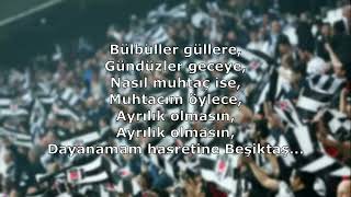 Beşiktaş Tezahüratları  Dayanamam Hasretine [upl. by Heall]