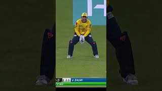 Shaun Taits Another Rapid Bowling vs Lahore Qalandars HBLPSL SportsCentral Shorts PCB M1H1A [upl. by Nnylirak667]