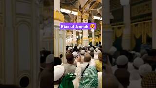 Masjide Riaz Ul Jannah ♥️😍 shorts islamicshorts masjidenabwi riazuljannah [upl. by Ajoop]