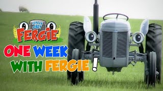 A Week with Fergie  Monday to Sunday  Film  Little Grey Fergie [upl. by Michelsen]