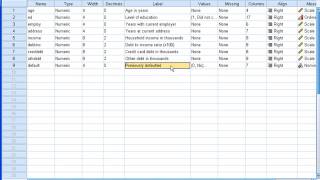 Discriminant Analysis in SPSS [upl. by Pejsach]