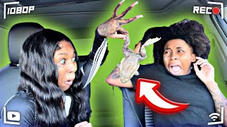 THROWING A LIVE FROG 🐸 ON MY ANGRY GIRLFRIEND   GONE WRONG  😱 [upl. by Kristos]