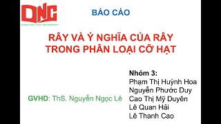 Nhóm 3 Lớp DH17DUO01 ThsDsNgocLe baocao cnsxdp [upl. by Germana]