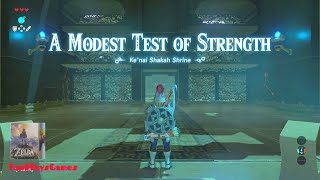 Kenai Shakah Shrine Walkthrough  The Legend of Zelda Breath of the Wild [upl. by Jakie]