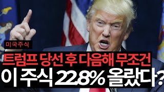 트럼프 취임 첫해 이 주식이 돈을 긁어모은다 뱅크오브아메리카인텔테슬라린데빅테크골드만삭스마스터카드구글허쉬에어비앤비캐터필러쉐브론 [upl. by Jeniece]