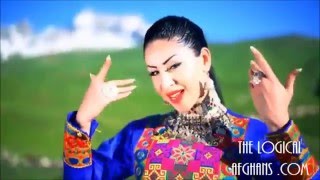 Arezo Nikbin New Huge Video Collection 2016 Non Stop Afghan Mast Songs [upl. by Etheline]