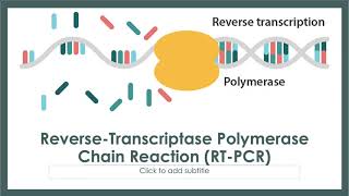 Amplification Techniques RTPCR [upl. by Dnalkrik]