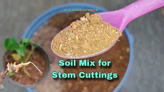 SOIL MIX for Stem CuttingsHenna cuttingpropagationTelugu gardener with arts chikkudusweet potato [upl. by Nylitsirk]