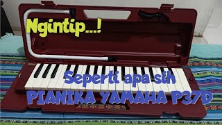 Revew Pianika Yamaha P37D [upl. by Wells239]