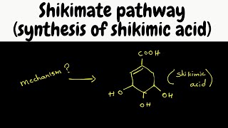 Biosynthesis part 6  shikimic acid synthesis [upl. by Rosemare]