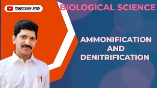 AMMONIFICATION AND DENITRIFICATION  BIOLOGICAL SCIENCE  CLASS 8 [upl. by Hendrika]