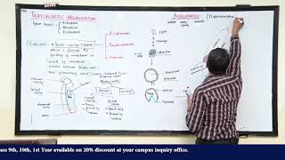 Online Lecture 93 Biology F Sc I 70 [upl. by Ahtebat23]