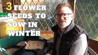 3 Perennial Flower Seeds to Sow in Winter  Cold Stratification  How to Cold Stratify Seeds [upl. by Stace]