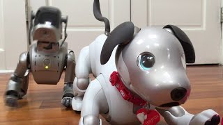 Aibo Robot Pet Dog  All Of Its Engineering SECRETS [upl. by Suoirred452]