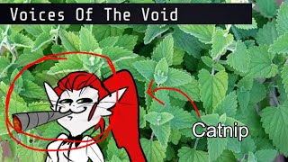 The Catnip Presentation Voices of the Void  OUTDATED [upl. by Sinoda]