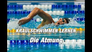 Kraulschwimmen lernen  die Atmung 2er oder 3er  SWIMAZING UNIVERSITY [upl. by Anairam]